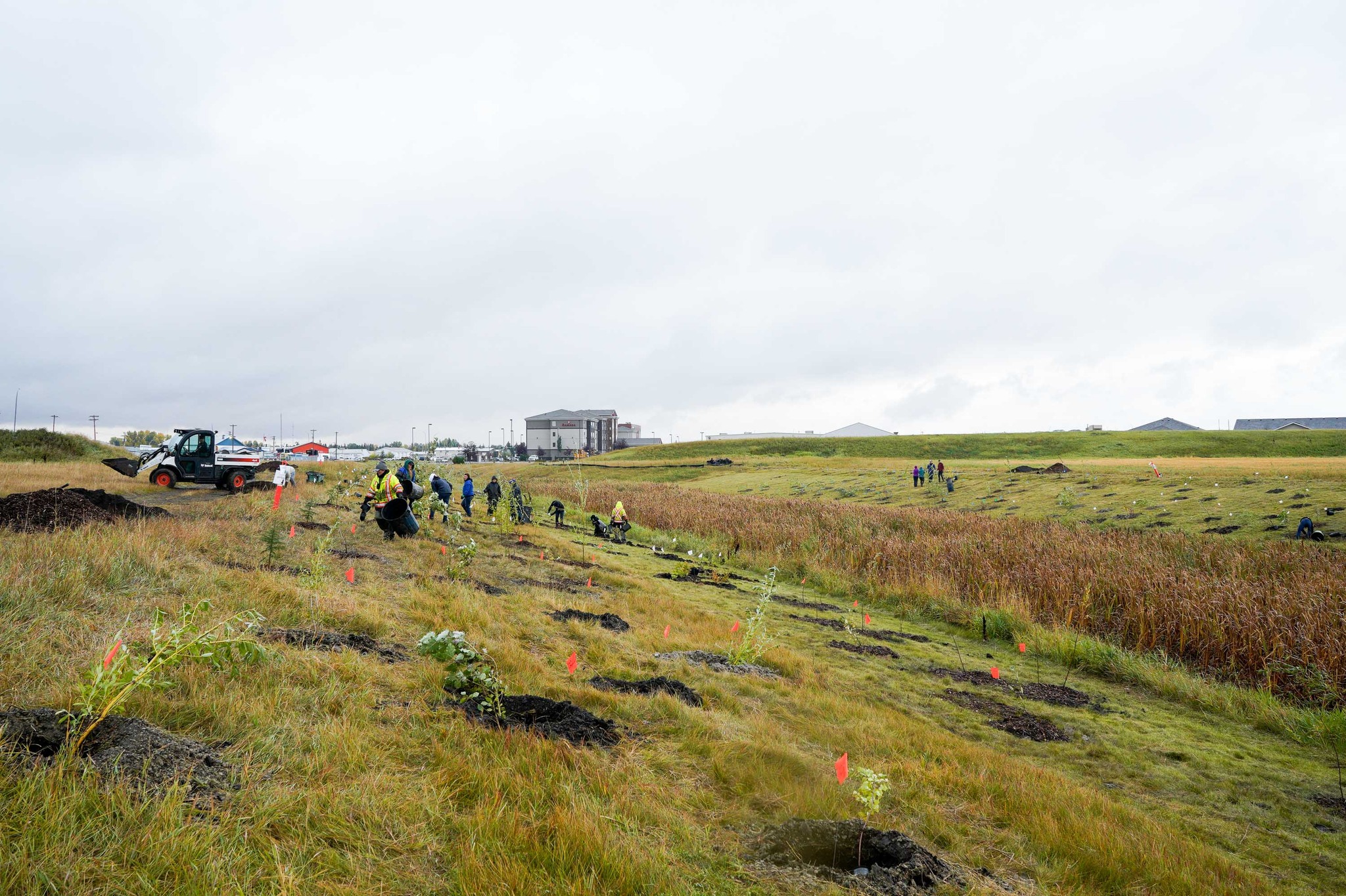 Tree Planting